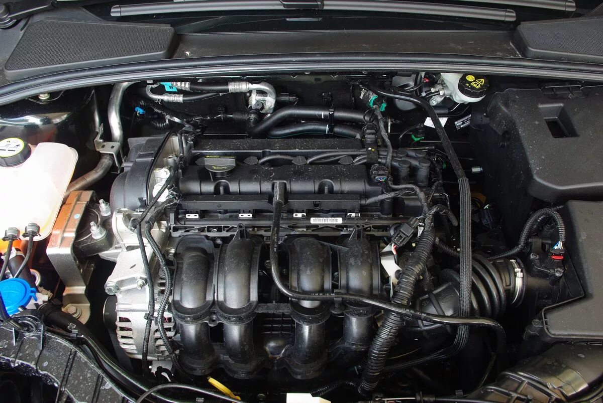 1.6 л 5. Ford Focus Duratec 1.6. Двигатель Ford Focus 2 1.6. Мотор 1,6 фокус 2. Мотор 1,6 л Duratec-16v ti-VCT.