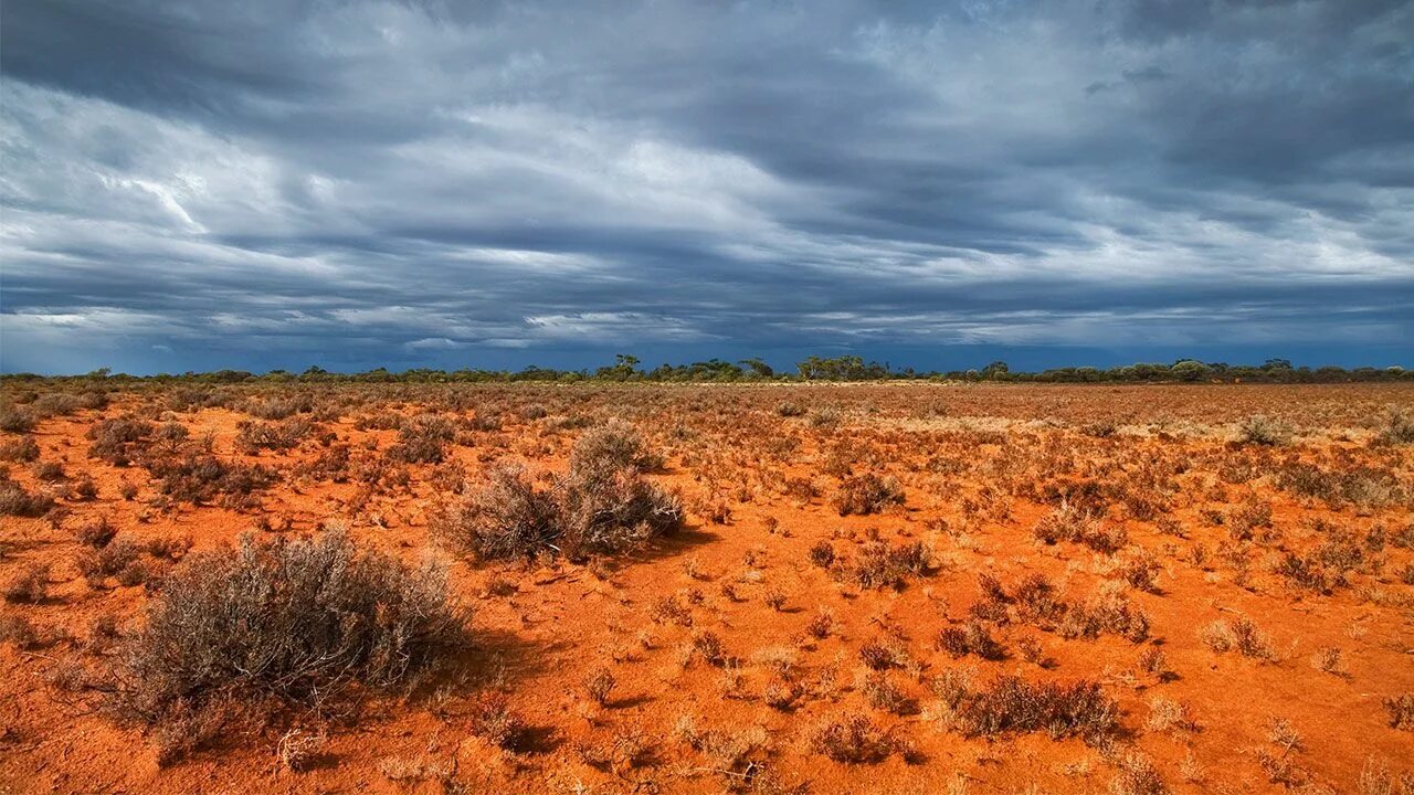 Занимает территории с засушливым климатом. Пустыни и полупустыни Австралии. Малая Песчаная пустыня в Австралии. Тропические пустыни и полупустыни Австралии. Почвы пустыни и полупустыни в Австралии.
