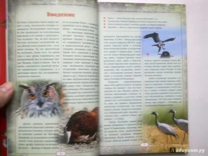 Фото страниц красной книги