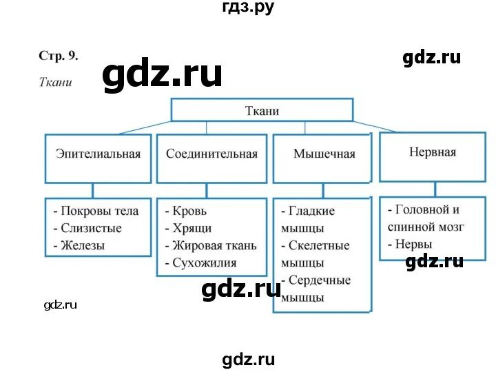 Биология 6 класс рабочая тетрадь бодрова розовая. Gcp professional cloud database engineer. Биология 8 класс бодрова. Человек и его здоровье биология 8 класс. Рабочая тетрадь по биологии 8 класс бодрова.