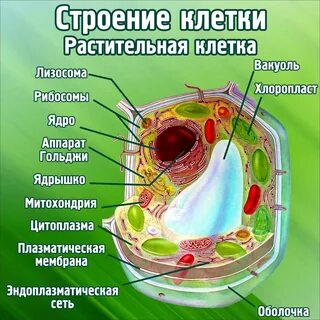 Стенды для класса купить заказать изготовление стендов для класса