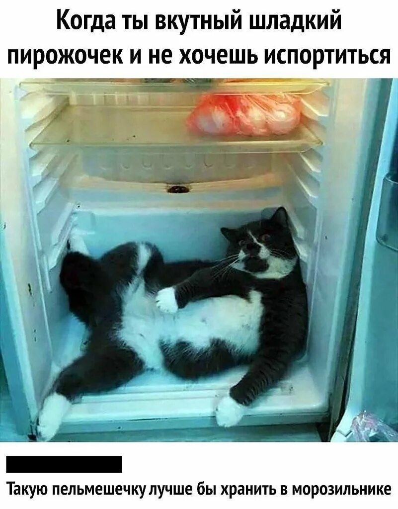 Пришел покормить кота а тут клининг