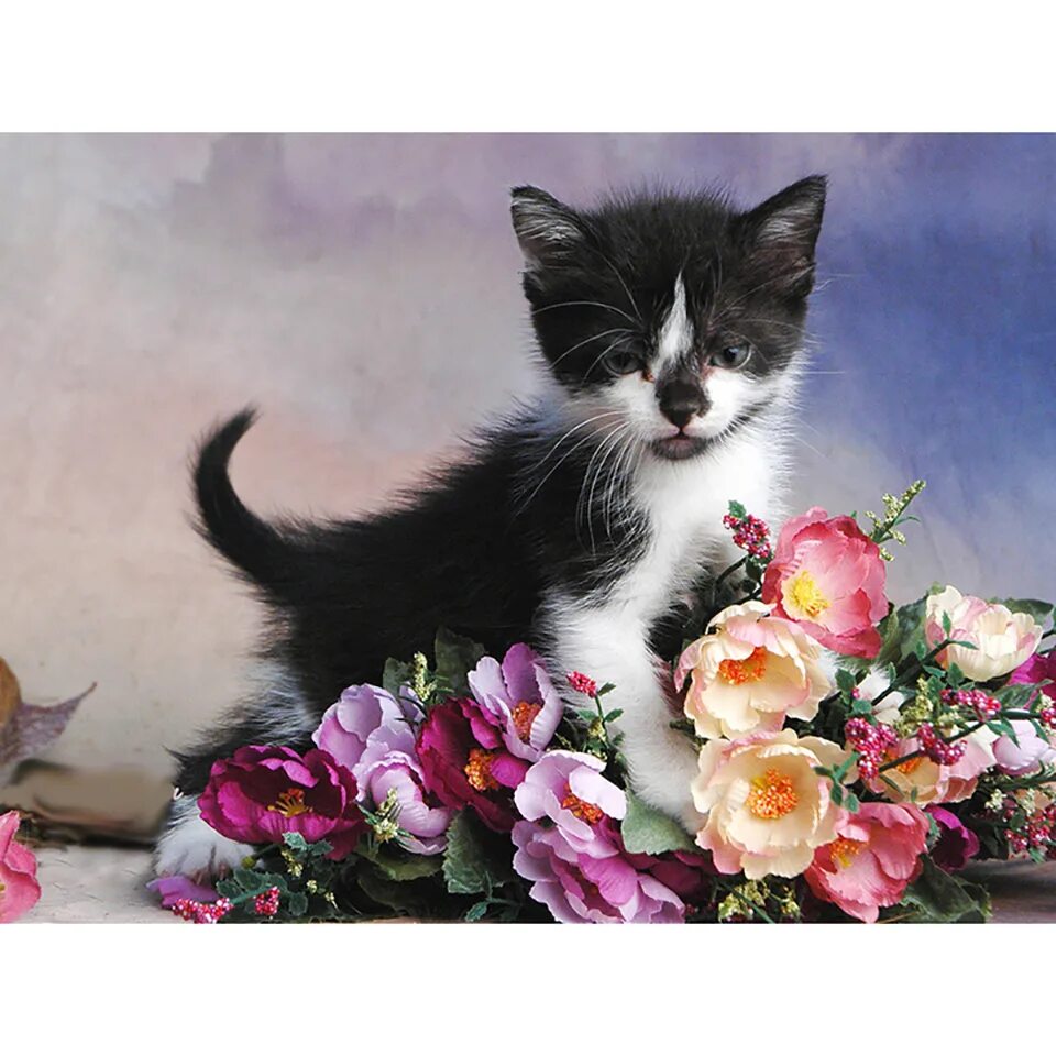 Кошка с цветами. Котенок в цветах. Кошка с букетом цветов. Котенок с букетом цветов.