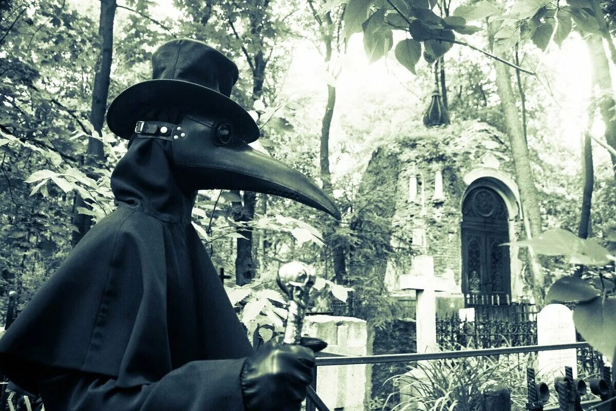 Чума бубонная карантин монголия. Бубонная чума фото в монголии 2020. Вспышка бубонной чумы в монголии. Ўлат. Чума сегодня.