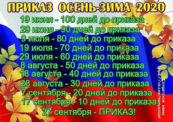 Приказ об увольнении в запас 2022. Указ об увольнении в запас. Приказ об увольнении в запас 2020. Приказ об увольнении в запас 2021. Сколько осталось до первого июня