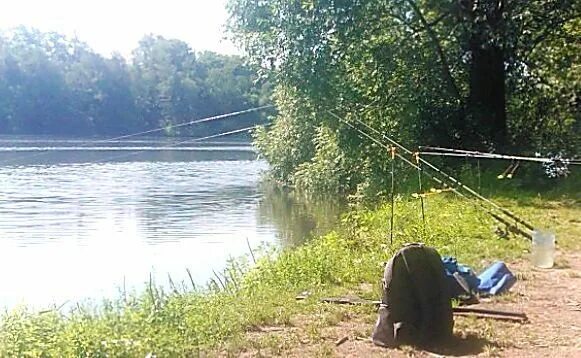 Рыба в неве. Набережная быковки в жуковском. Марьино москва река. Рыбалка на дубешне. Рыбалка на реке.