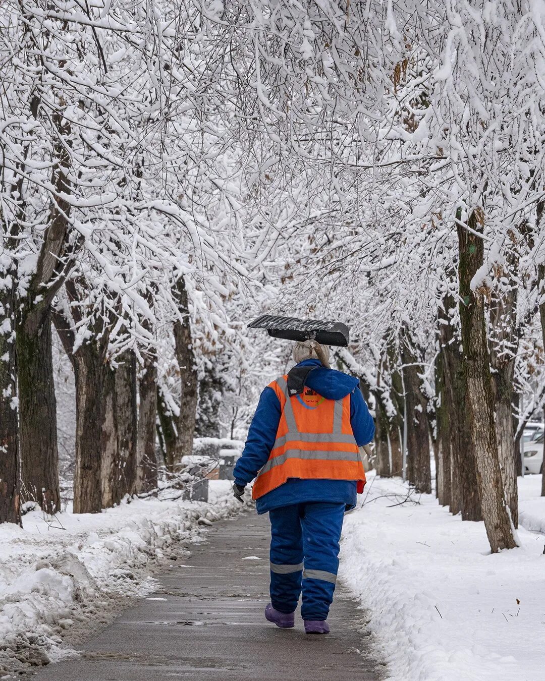 It s going to snowing snow. Февральские люди. snowfall dmitriy.