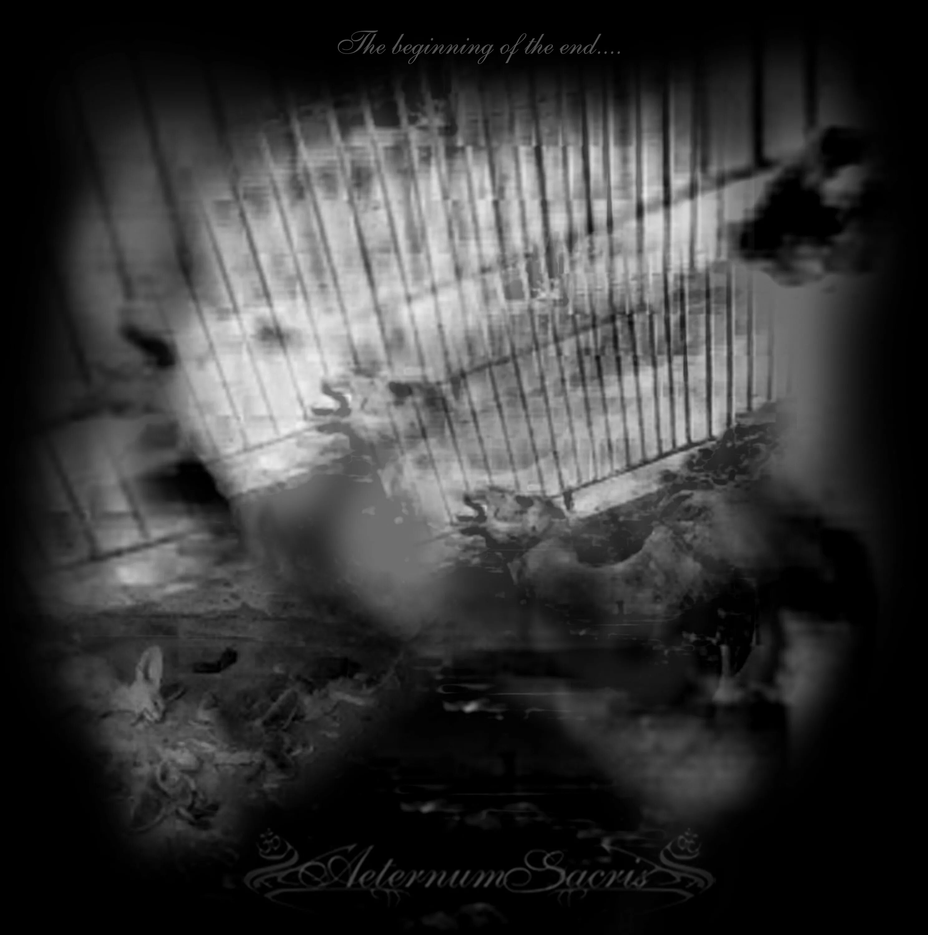 Day the beginning of the end. Tragedy beginning of the end. last breath of sorrow. human desolation - beginning to end.