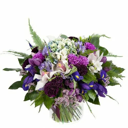 цветы по зодиаку. цветы по знаку зодиака водолей. цвет водолея. фуксия сорт aretes colmar. ютака кагайя.