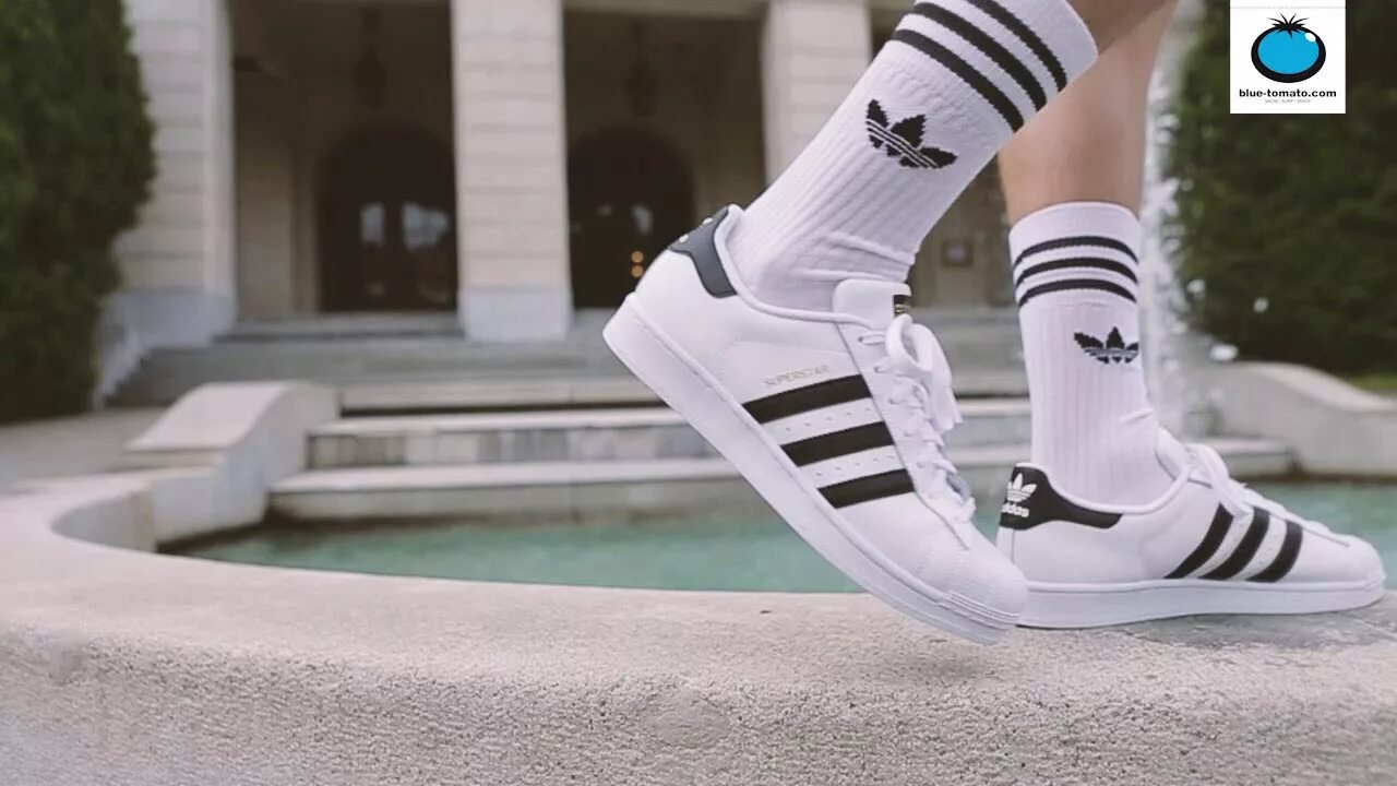 Кроссовки носки адидас. Adidas Originals Solid Crew Socks. Адидас носки суперстар. Solid Crew Sock adidas. Носки adidas Originals Crew.