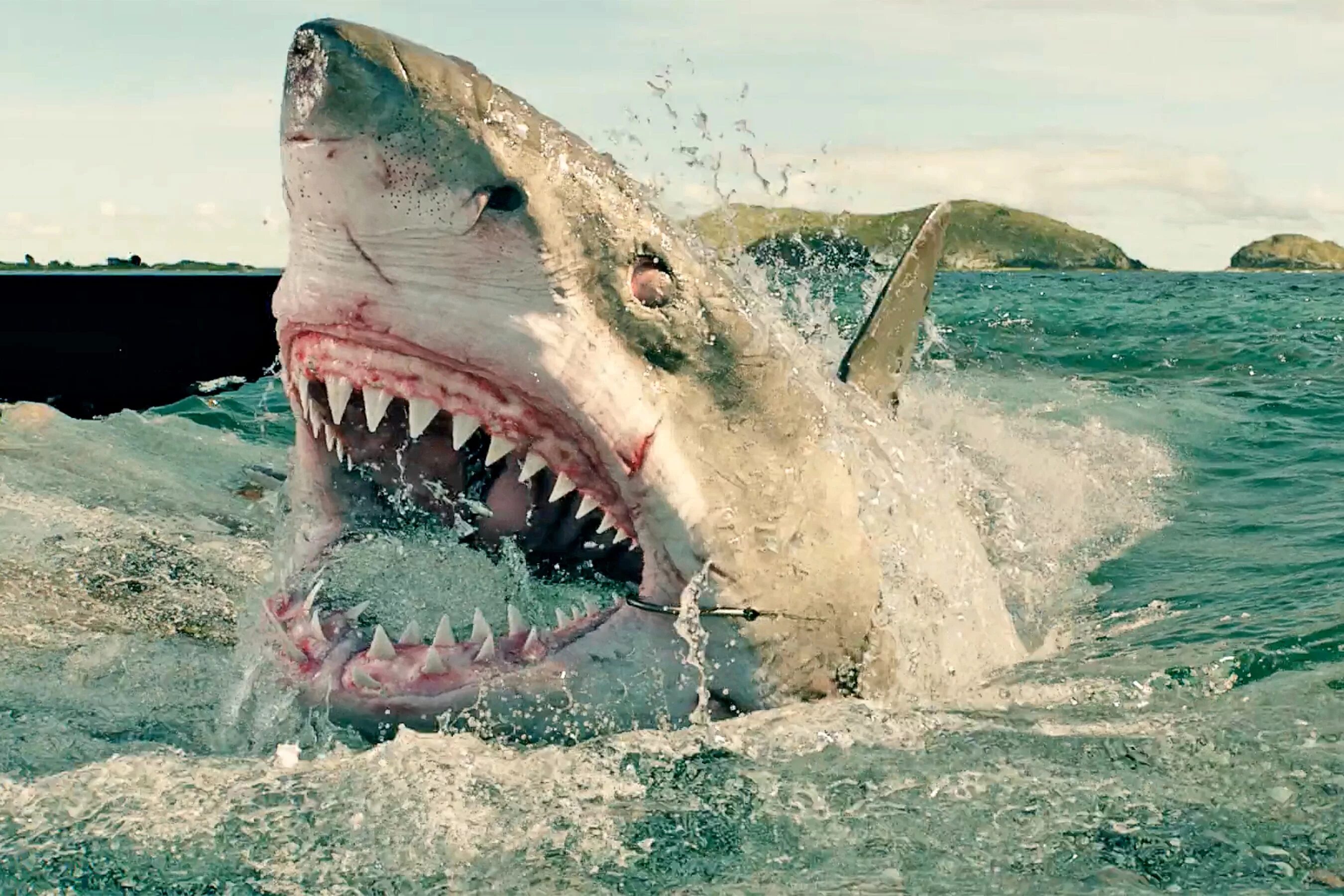 Рейтинг ужасов про акул. Отмель 2016. Отмель 2.