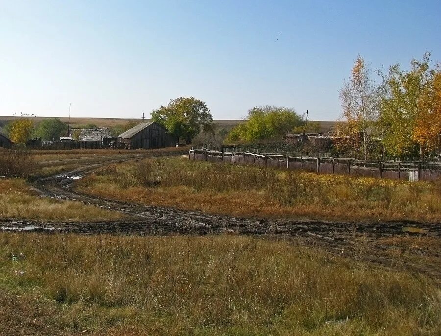 Новониколаевка белгородская область. Морозово белгородская область пруд. Новониколаевка озеро. Село роговатое белгородская область. Новониколаевка старооскольский.