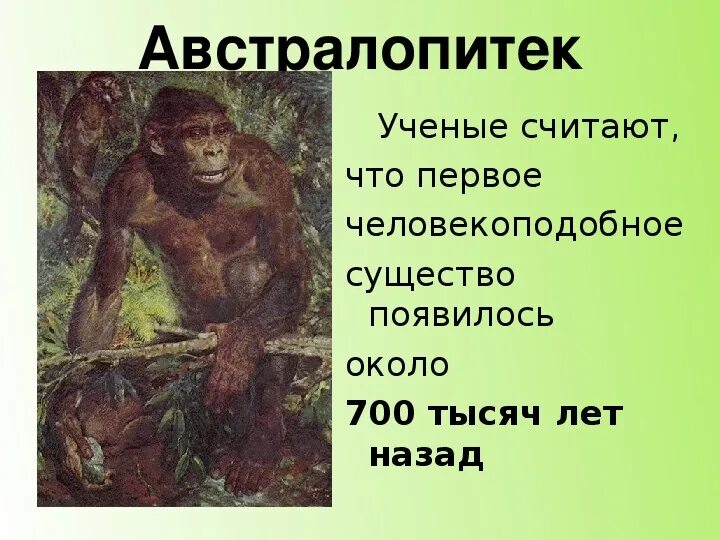 Сообщение о древних людях. Сообщение о древних людях