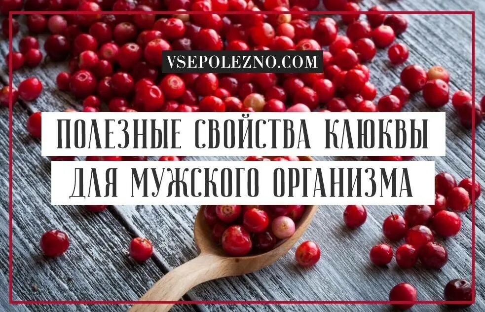 Чем полезна клюква. Полезные свойства клюквы для организма. Клюква полезные свойства для организма человека. Клюква чем полезна для здоровья человека.