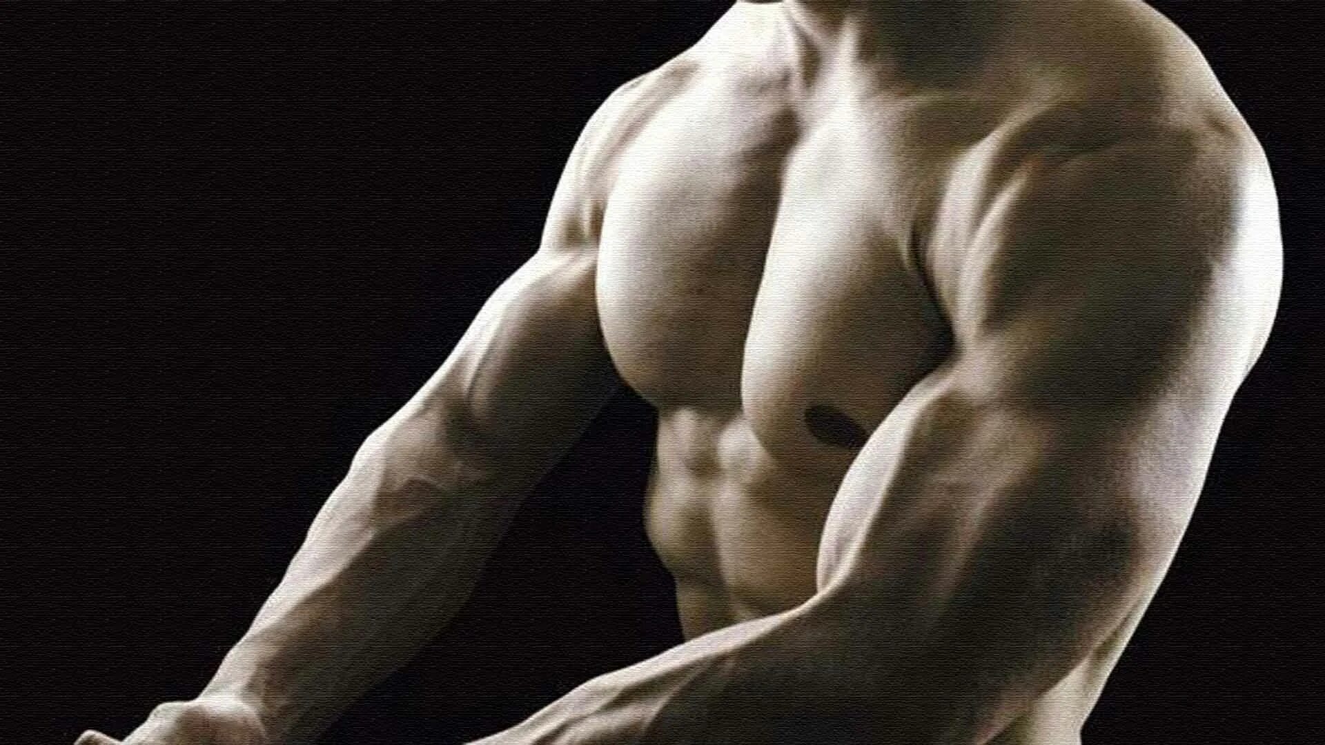 Ее сильное тело. Эстетика тела. Накаченный торс. Мужское тело. Мышцы Эстетика.