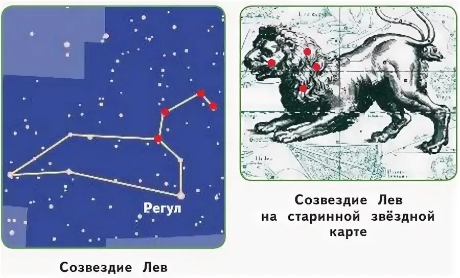 Созвездие льва окружающий мир 1 класс рисунок. Созвездие Лев схема для 2 класса окружающий мир. Созвездие Лев схема. Созвездие Льва регул. Созвездие Льва окружающий мир 2 класс.