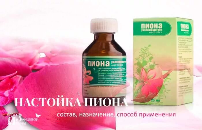 Настойка пиона состав. Настойка пиона. экстракт пиона. экстракт пиона уклоняющегося.