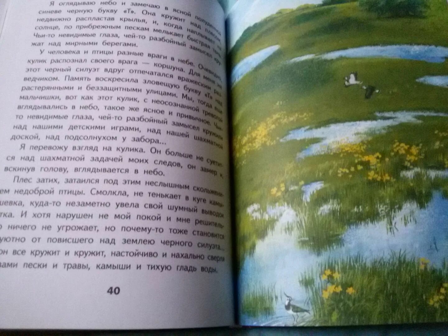 Живое пламя иллюстрации. Носов живое пламя илл. Живое пламя Носов иллюстрации. Литература 5 класс учебник живое пламя