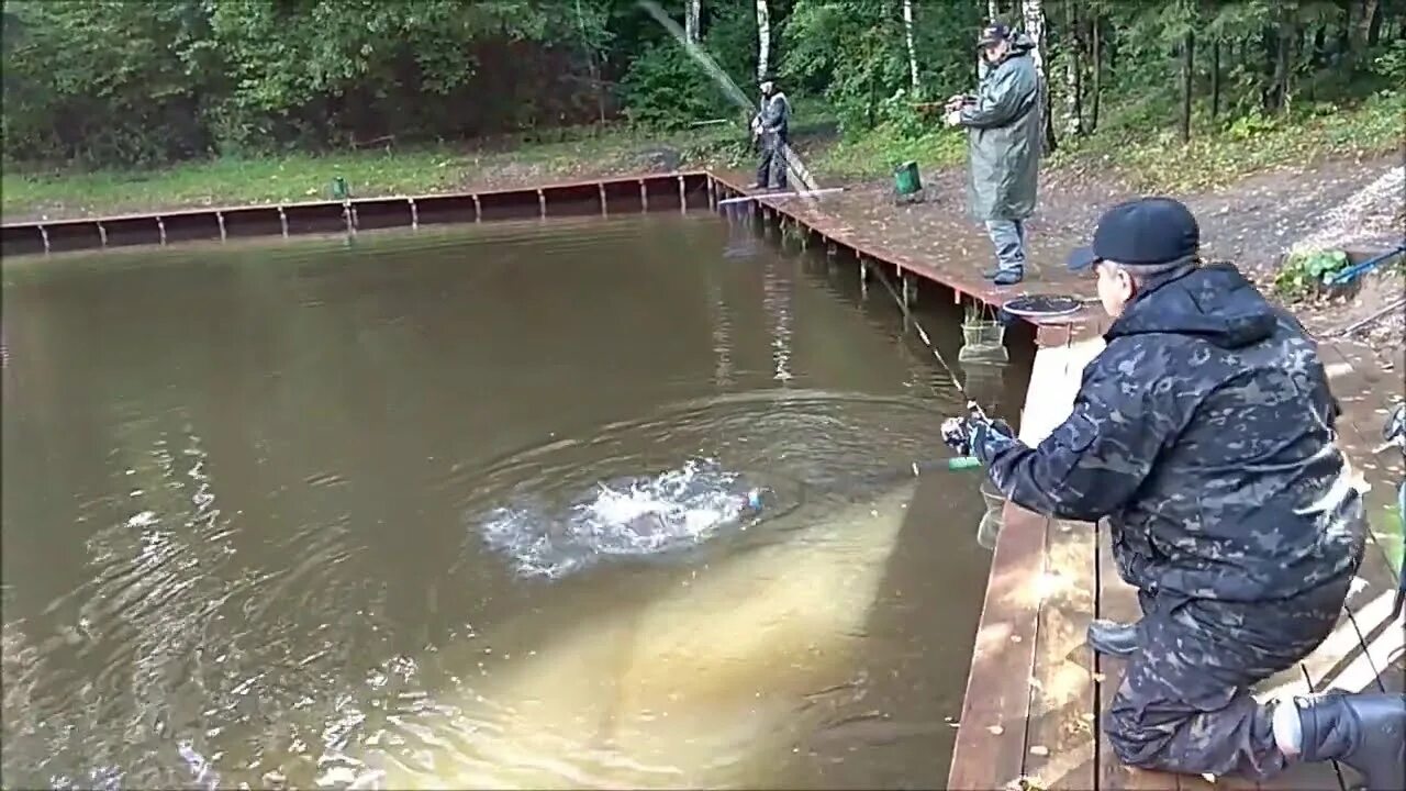 Форелевый хутор псков. Форелевый монтаж. Форелевый платник в чусовских городках. Форелевый остров. Монтаж на осетра на платнике.