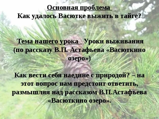 Как выживал васютка из рассказа васюткино озеро. Как выжить в тайге по рассказу Васюткино озеро. План выживания Васютки в тайге. Уроки выживания по рассказу в.п.Астафьева Васюткино озеро. Какие умения и навыки помогли Васютке выжить в тайге.