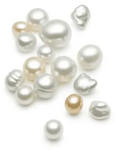 Pearl sea shop