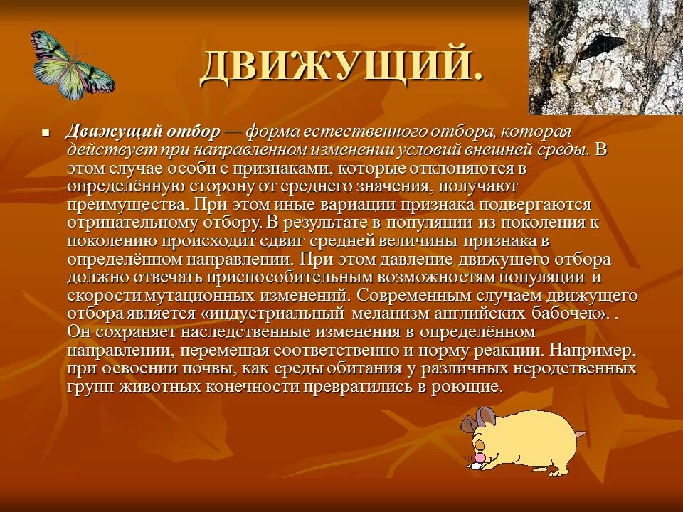 Автор движущего отбора