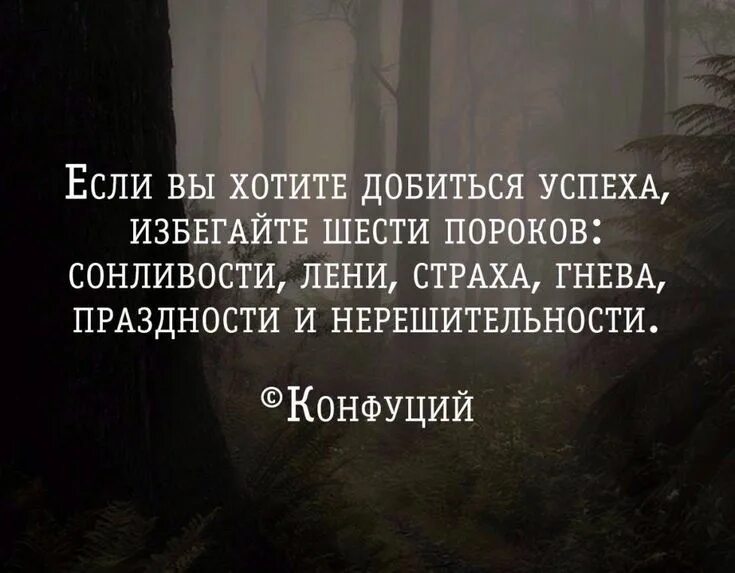 Цитаты про успех. Цитаты великих людей про цель в жизни. Изречения о целях. Цитаты людей добившихся успеха.