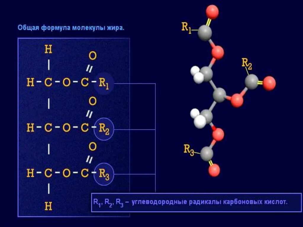 Формула растительных жиров. Жиры общая формула химия. Общая формула молекулы жира. Жиры формула химическая. Жиры структура формула.