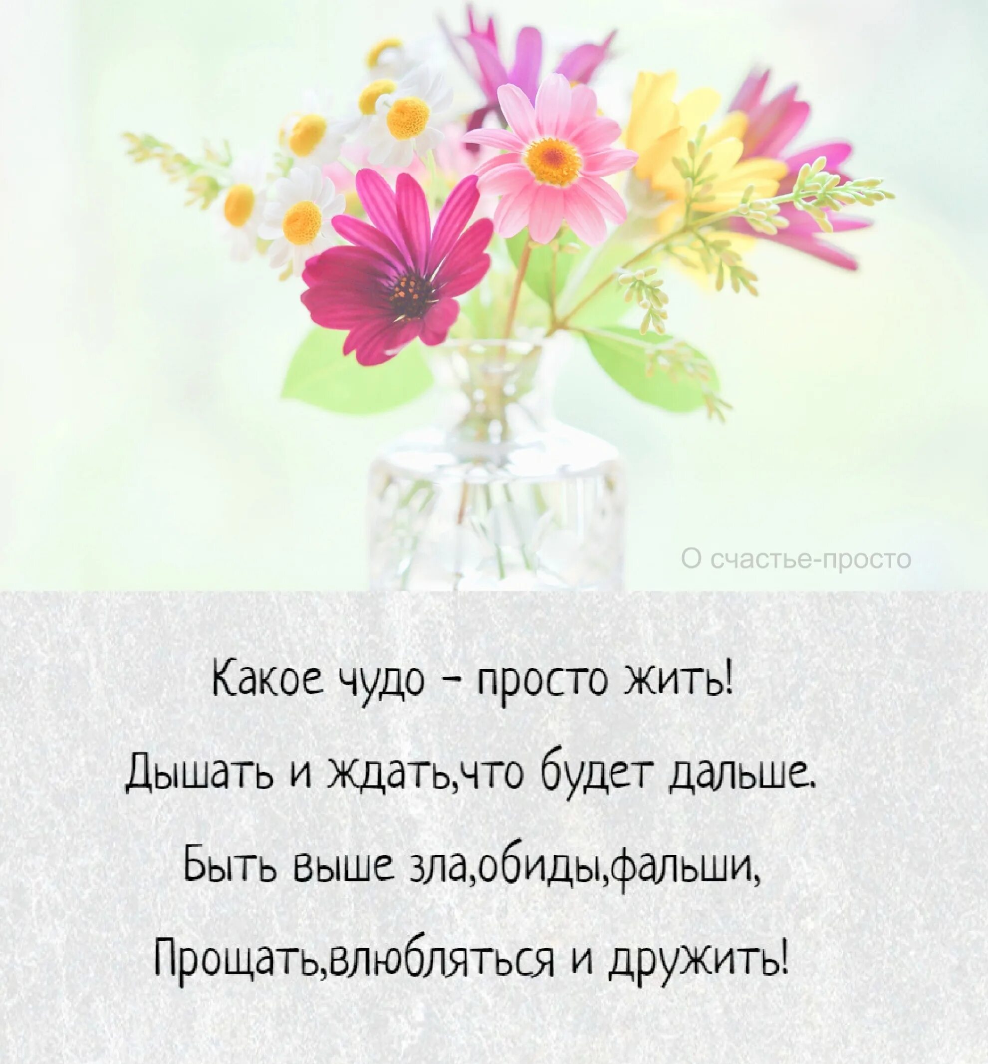 Сегодня будем просто жить. Какое счастье просто жить. Счастье жить. Счастье просто жить стихи. Счастье это просто.