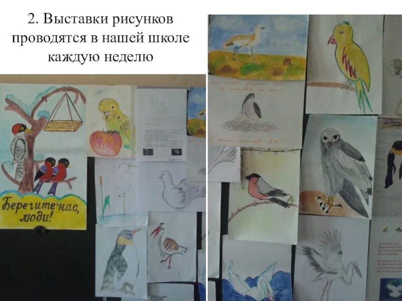 Выставка рисунков цель и задачи. Выставка рисунков текст. выставка рисунков домашние ловушки. выставка рисунков с цитатами. подпись выставка рисунков в школе.