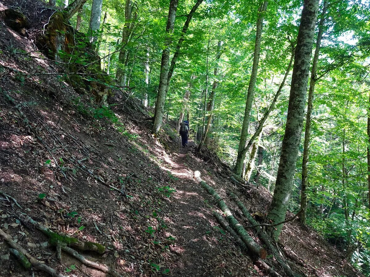 кавказский заповедник тропы. кавказский заповедник тропы. заповедник в пятигорске. фото мест стоянки на маршруте в кавказском заповеднике. тропа чувств кавказский заповедник.