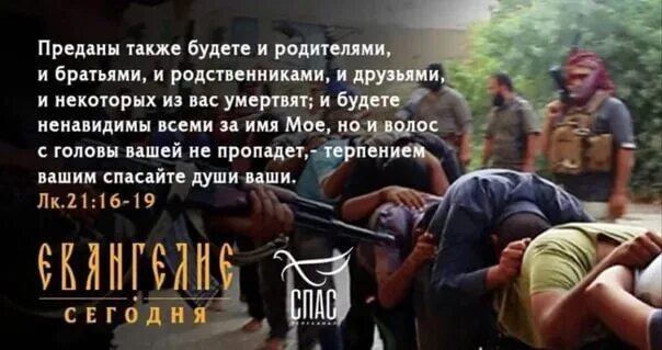 Спасайте души ваши. Терпением спасайте души ваши. Терпением вашим спасайте души ваши. И будете ненавидимы всеми за имя мое. Терпением вашим спасайте души свои.