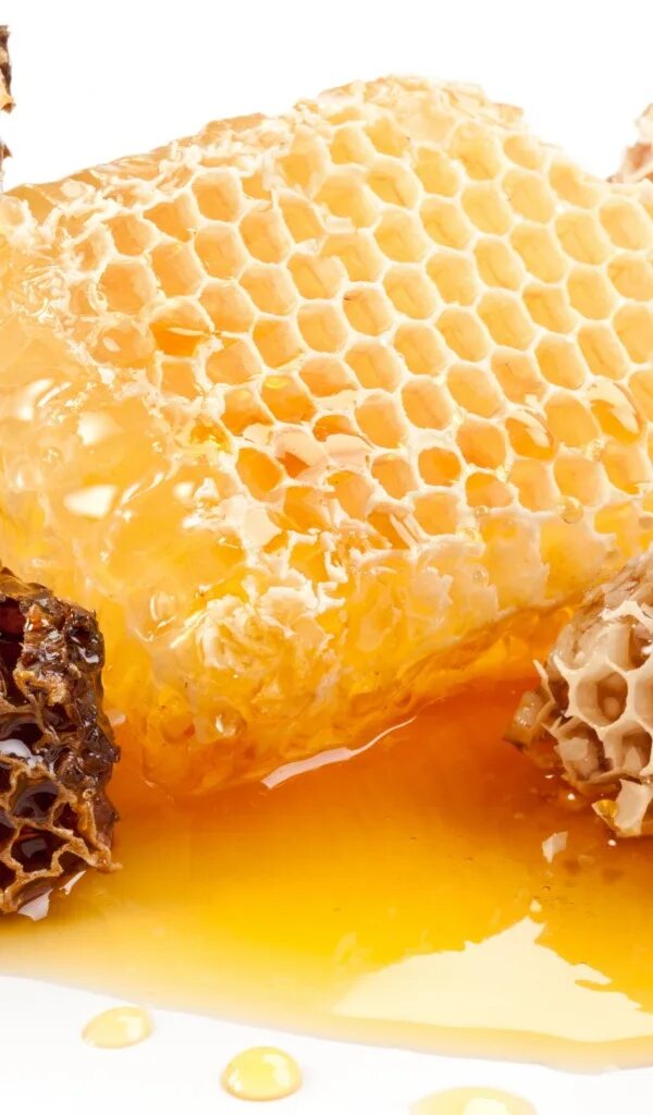 Соты меда. Мед соты пчелы. Пчелиные соты с медом. Цветочный мед в сотах.