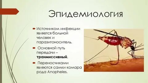 Источником малярии является