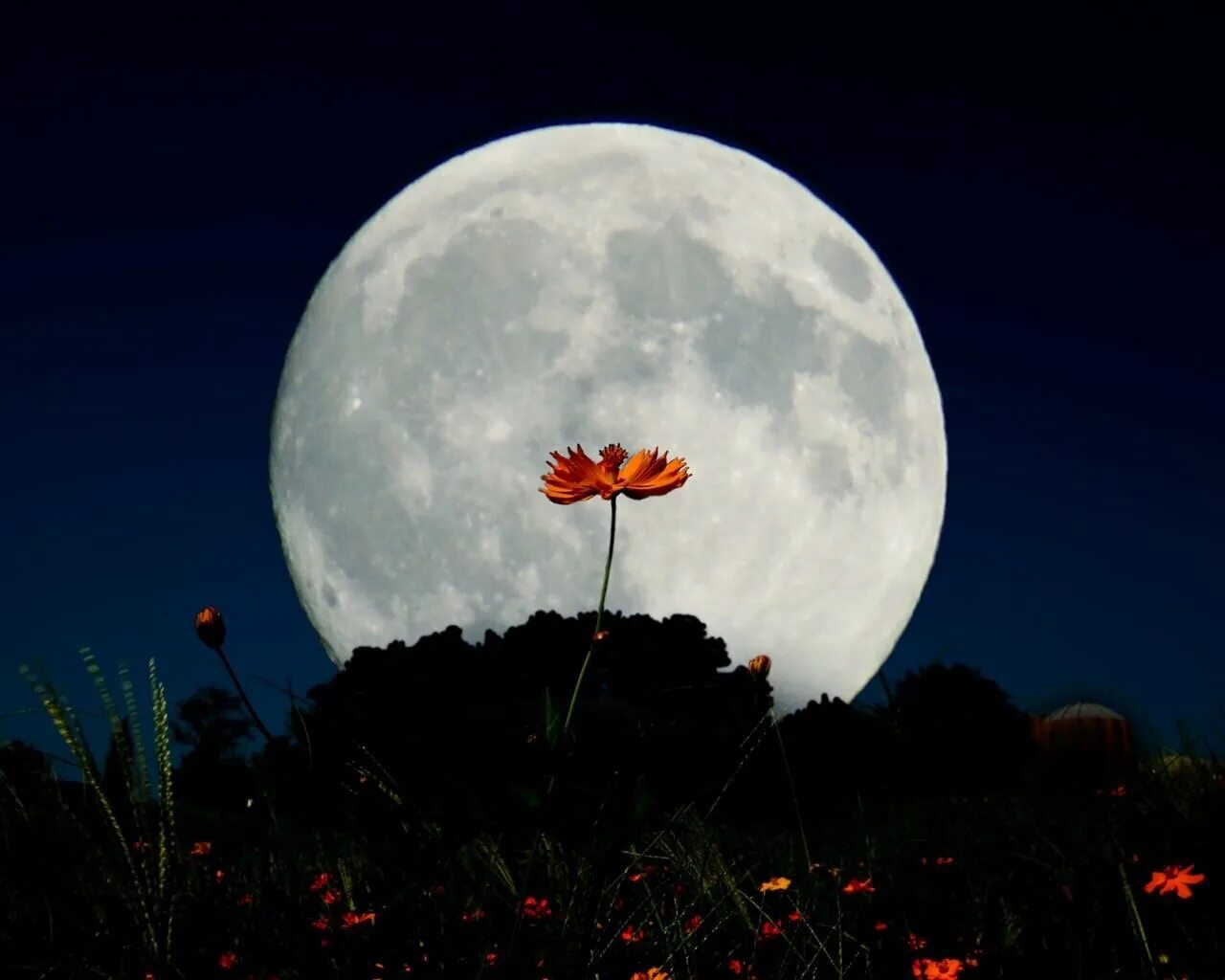 Луна. Красивая Луна. Фото Луны. Полнолуние.
