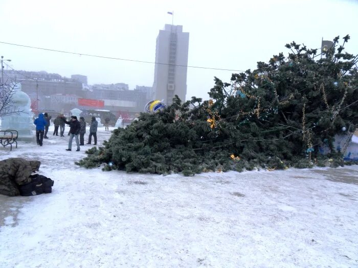 упавшая елка. убираем елку. елка упала. коты повалили елку. уронил елку.