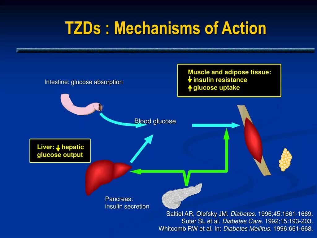 Mechanism of action. Ethionamide mechanism of Action. Acyclovir mechanism of Action. Ephedrine mechanism of Action.