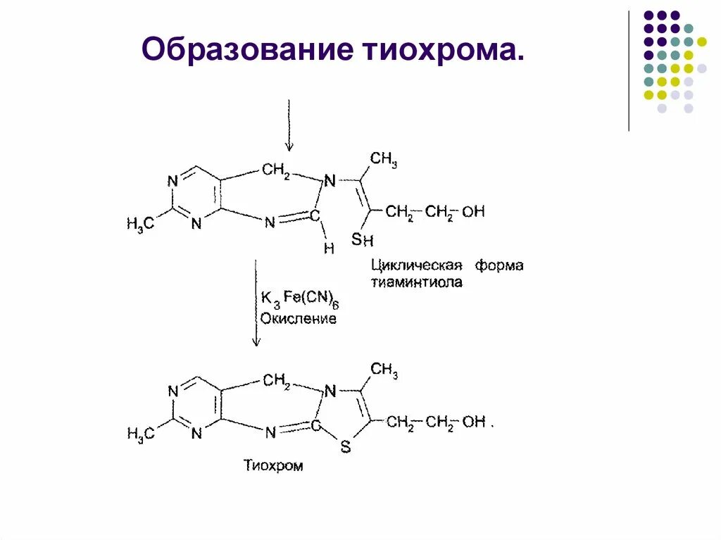 Реакция с реактивом драгендорфа. Тиамин с реактивом драгендорфа. качественная реакция на тиамин. тиамина бромид получение реакции. окисление тиамина в тиохром.