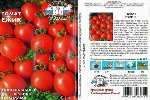 Томат работяга отзывы