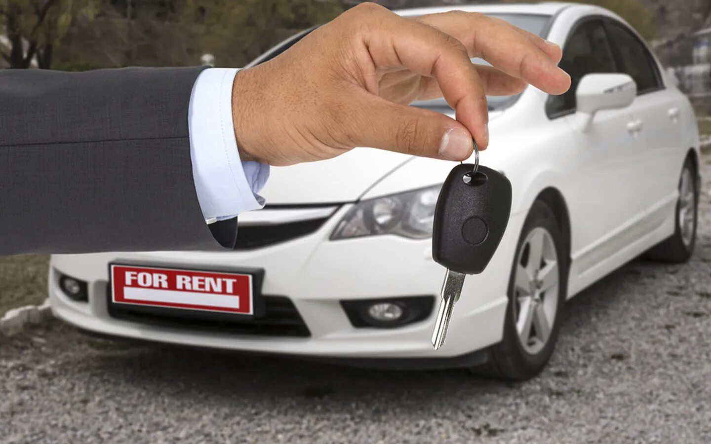 Rent a car us. Девушка продавец в автосалоне. Avis машины. Бизнес автомобили. Арендовать автомобиль.