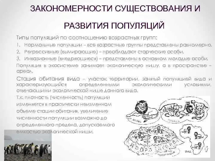 Закономерность популяции. Закон харди вайнберга. Популяционная экология изучает закономерности …. Понятие идеальной популяции. Закономерность эмерджентности.