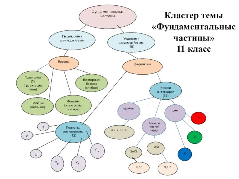 Кластер ней. Кластер по теме частица 7 класс. Кластер частица 7 класс. Частицы переносчики взаимодействий. Кластер на тему частица.