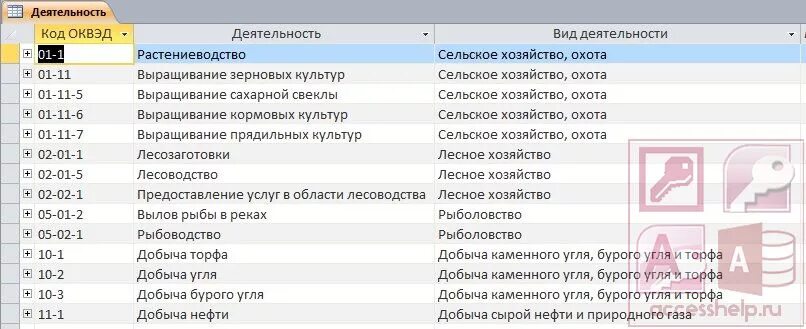 База данных налоговой. База данных налоги в access. Налоговая служба БД. База данных налоговой службы пример.