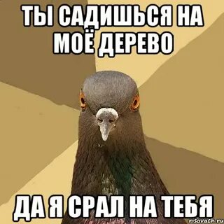 Я сяду на тебя и