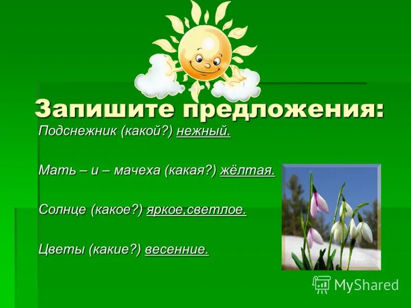 подснежник какое окончание. слова с приставкой корнем и суффиксом. строение подснежника для детей. какие первые цветы появляются весной. подснежник какое окончание.