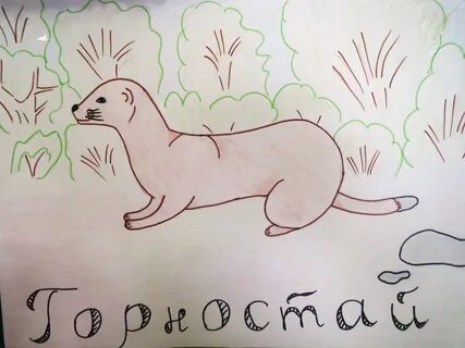Нарисовать животное занесенное в красную книгу