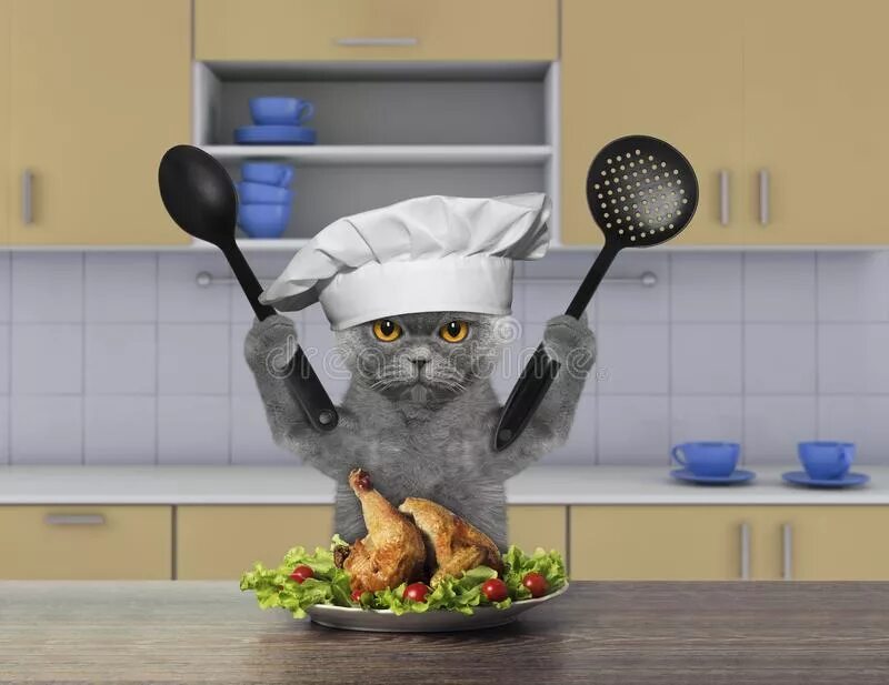 Cat cook. Кошка на кухне. Кот повар. Котик на кухне. Кошка кулинар.