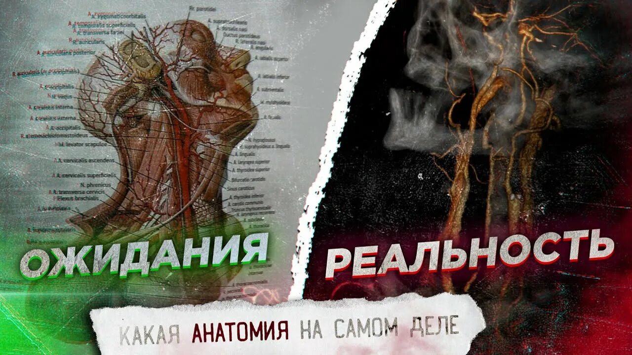 Что представляет собой реальность. Медицина ожидание и реальность. в атласе в жизни анатомии мем. тату ожидание реальность.