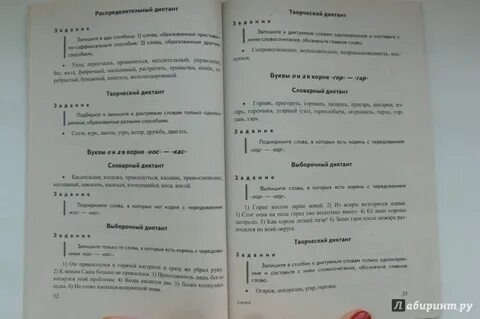 Русский язык 7 класс входной диктант ладыженская