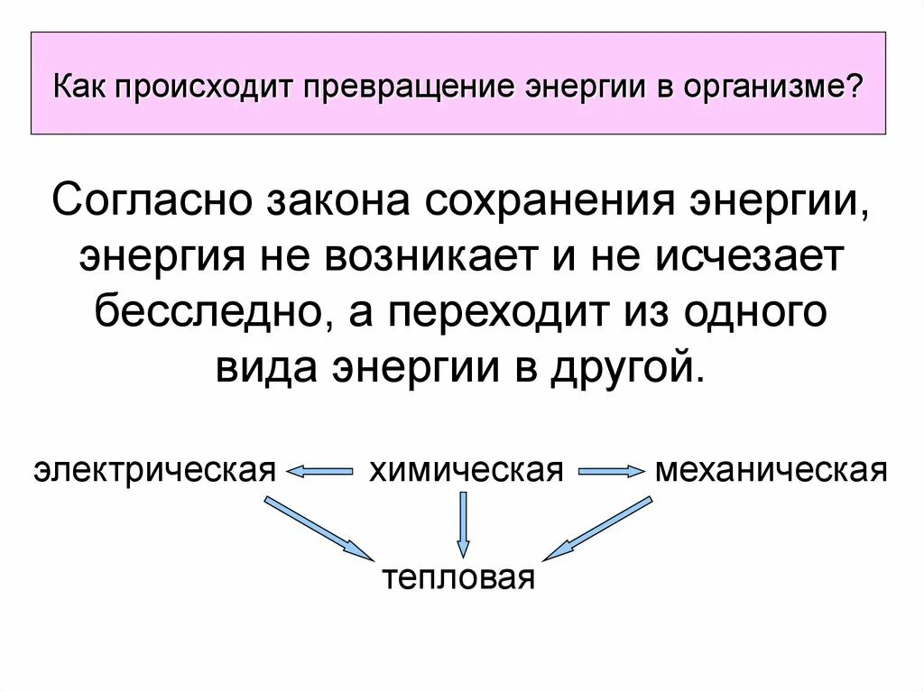 Происходит превращение энергии. Превращение энергии в организме человека. как происходит превращение энергии. виды превращения энергии. процессы превращения энергии.